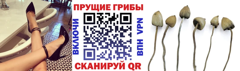 даркнет сайт  Пересвет  маркетплейс состав  Псилоцибиновые грибы Magic Shrooms 